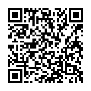 坐在副驾驶座上的艾欧莉亚在接了一通电话之后二维码生成