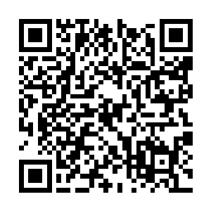 坐在副驾驶座位上的陈小练忍不住发出了一声疑惑二维码生成