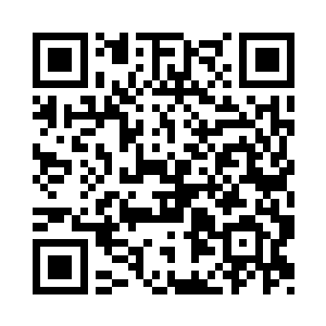 坐在后座上和纸箱子一起显得很是拥挤二维码生成