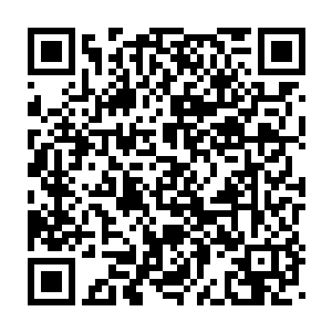 坐在后排的一个少年忽然一脸惊喜地指着校道上一个瘦削的背影道二维码生成