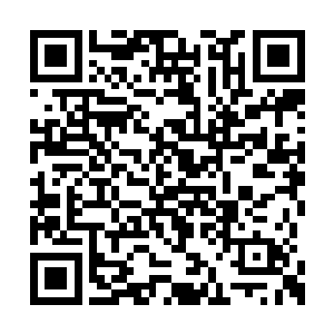 坐在地上的马文一边小心翼翼地将纳鲁之书收好二维码生成