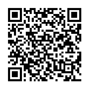 坐在大厅中央的一个身形粗壮的武者迫不及待地站起身来二维码生成