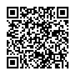 坐在客厅沙发上的杜玉婷就把目光转移到白振东的身上二维码生成