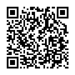 坐在张小凡身旁的小胖子一脸惊骇的看着张小凡二维码生成