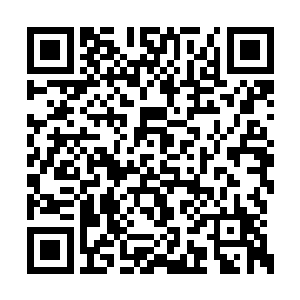 坐在我们后排的陈景皓和李伟也从车上走了下来二维码生成