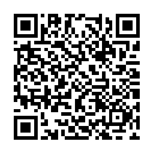 坐在最中央位置上的是一身白色武士服的佐藤佳禾二维码生成