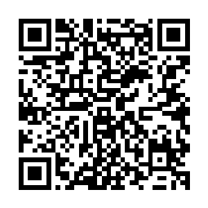 坐在椅子上视线正对着窗外的闻人牧月转过身看着闻人照问道二维码生成