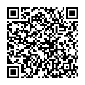 坐在王琴身旁的一个五十多岁的中年男子将王琴从激动中给叫了回来二维码生成