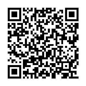 坐在白骨王座上安之若素地看着前方的六艘鬼舟二维码生成
