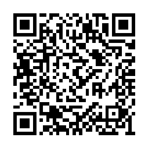 坐在程兆儿一边的圆圆顿时也停下了手中的筷子二维码生成