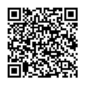 坐在第一排一直闭眼小憩的一名绿发青年突然站了起来二维码生成