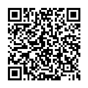 坐在许紫烟身旁的段天涯一把抓住许紫烟的手道二维码生成