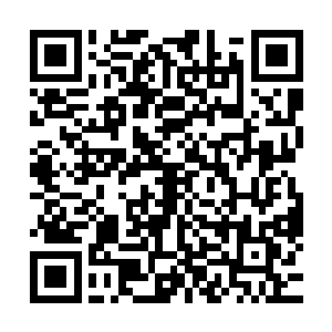 坐在车里的他可是看着费洛牵着水心柔的手大大咧咧地出来的二维码生成