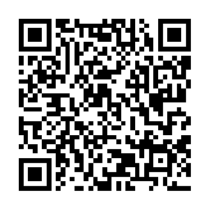 坐在这桌周围的十几桌的修士也都听清了他们之间的对话二维码生成