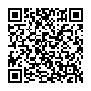 坐在靠近走道边的怡南却拉过巴克的另一只左手二维码生成