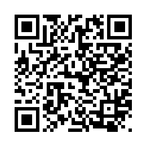 坐在飞行器上的那位却出声制止了他二维码生成