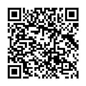 坐在首位主持会议的自然是微软现任首席执政官萨蒂亚二维码生成