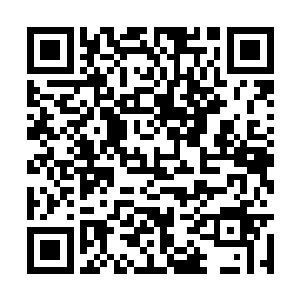 坐在驾驶位上的米晓琪观察了一下芬琳公寓的地形二维码生成