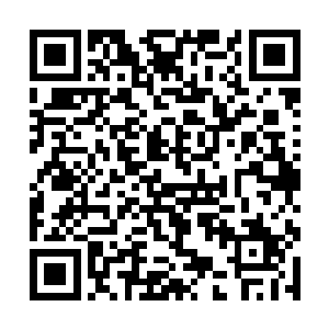 坐在高处可以望远的左婷婷看到有几人循着山路过来二维码生成