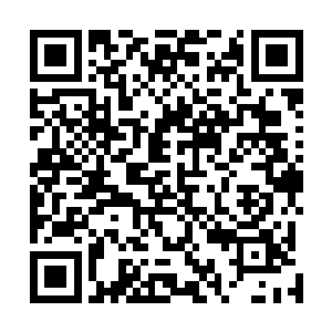 坐在鲁新萍旁边的米儿听了立刻有点儿不满这时间太长了二维码生成