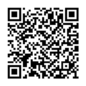 坐在黄金宫殿之中的人便是寒冰城副城主的独子二维码生成