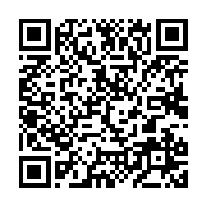 坐在pdd面前的长发青年正是ic战队现任队长兼中单二维码生成