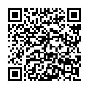 坐庄的博彩公司来计算出玩家的下注数目和赔率二维码生成