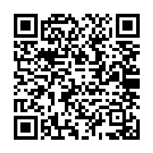 坐进车内让汪逹朋把我买来的几瓶高度白酒都拧开盖子二维码生成