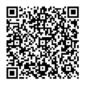 坚决不相信自己的祭司会给其他任何混蛋生孩子的原战在此时深深怀疑起自己的血脉传承二维码生成