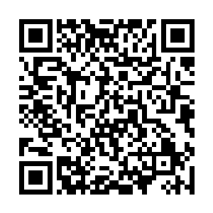 坚强早就趴在竹楼的窗户上看着云铮摇摇晃晃的回来二维码生成