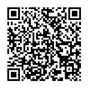 坚强的凌母在想到女儿可能因为身体机能退化甚至消失而死去的时候二维码生成