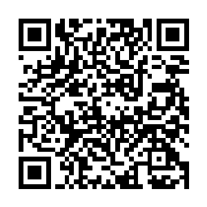 坚持时间最长的一家公司也无法只有半年多的时间而已二维码生成