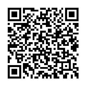 坚硬的龙身上覆盖的岩石当场就给我劈成了两半二维码生成