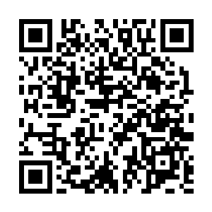 坚韧无比的芥子战斗服也被撕裂了几道触目惊心的口子二维码生成