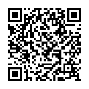 坠落的飞机又属于自己现在活动范围的航空公司二维码生成