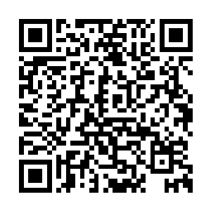 坤主愕然看向那已经消失的无影无踪的绿色植物二维码生成