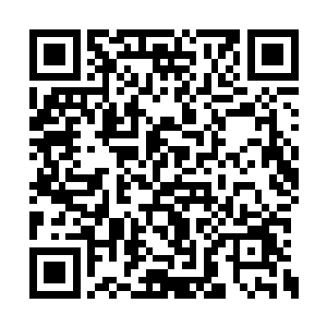 坤眯着眼睛看着这小兄弟俩上下重复着这个动作二维码生成