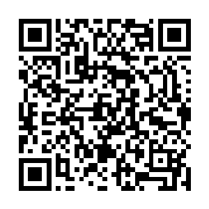 坤老在看到赵纯良和穿着山苗衣服的蒹葭走进来的时候二维码生成