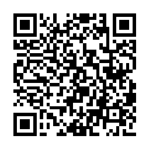 垂头丧气的倒在了沙发上抱着躺在一旁的轻松熊二维码生成