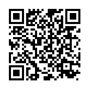 垂涎起了大雄殿旁边的一棵古老的白松树二维码生成