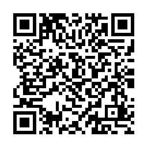 垂眸看着阿财和阿宝哼哼唧唧从院子另一端爬了过来二维码生成