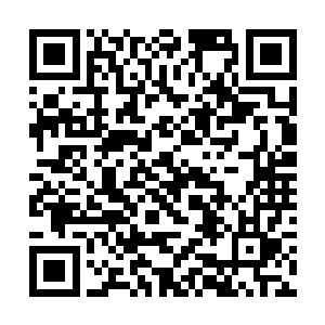 埃伦把刚刚在更衣室听到的话一五一十地告诉小初一二维码生成