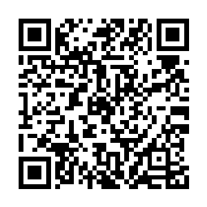 埃博拉还有带来的十多个人上了刘存洋安排的车二维码生成