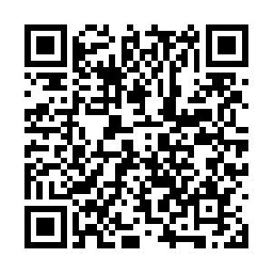 埃塔的大腿和屁股可以在落地后二十四小时内归还二维码生成