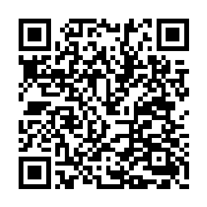 埃尔顿管家也是一大早就在宾馆里等着两个人了二维码生成