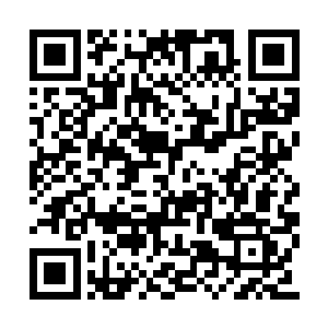 埃弗雷德那边却突然急匆匆的传递了消息过来的二维码生成