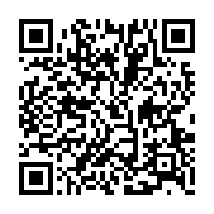 埋伏在乱石之中的十九个木属性修士猛然一扬手二维码生成