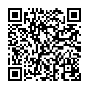 埋在古怪植物下的那指甲盖大小的一块龙灵被小胖挖了出来二维码生成