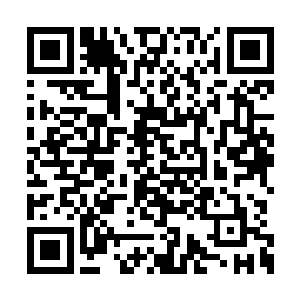 城主大人又在我佣兵之城的长老法典中立下法规二维码生成