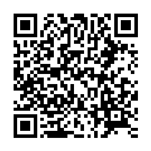 城主大人在王城二十三精卫众星拱月的陪衬下来到了城墙大楼二维码生成